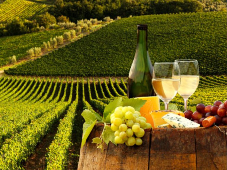 Wine Tour with Wigan Limos